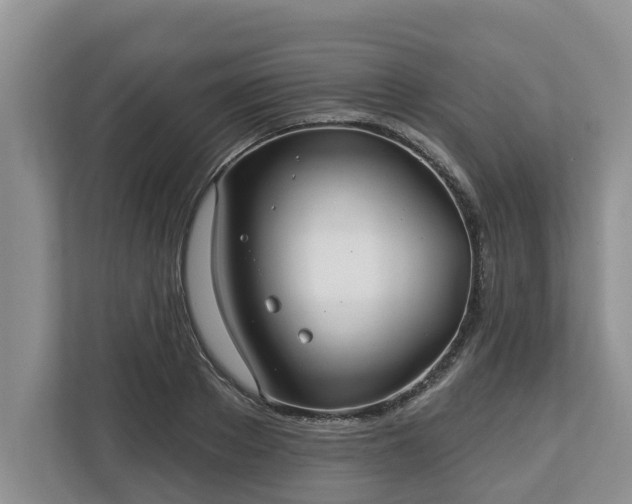 X0000113020889200909031229