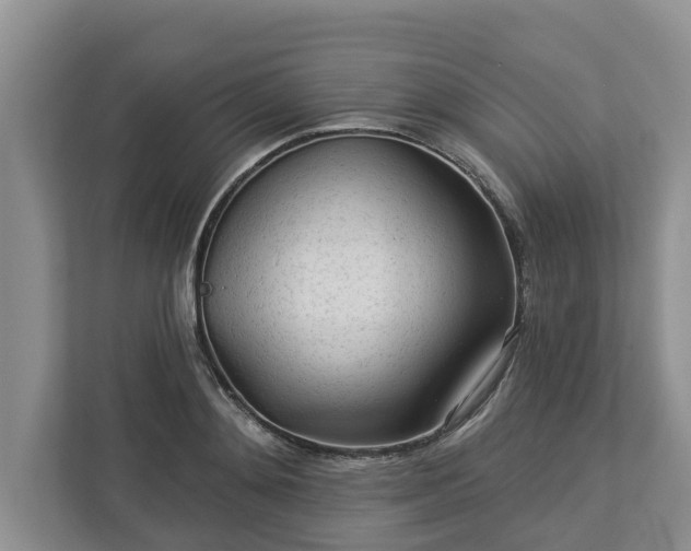 X0000113020892200909031229