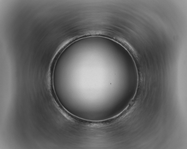 X0000113020894200909031229