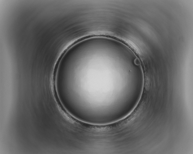 X0000113020895200909031229