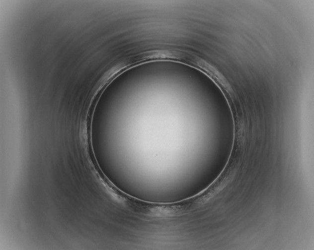 X0000113020898200909031229