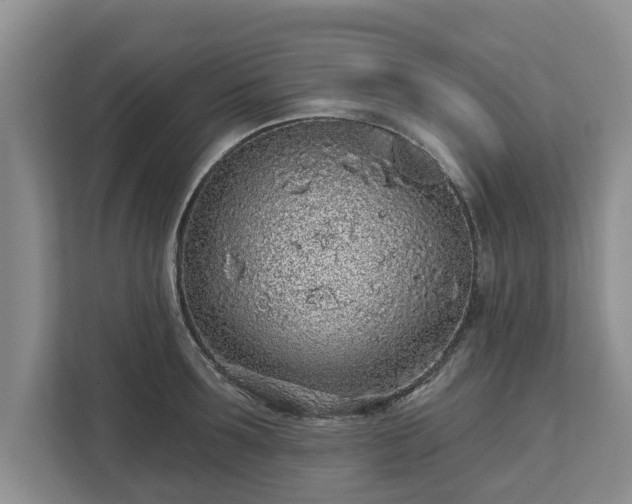 X0000113020899200909031229