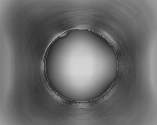 X0000113020900200909031229
