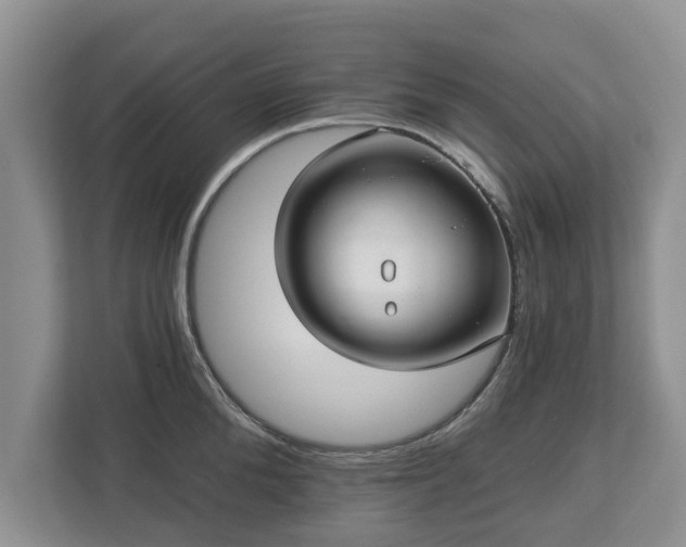 X0000113020904200909031229