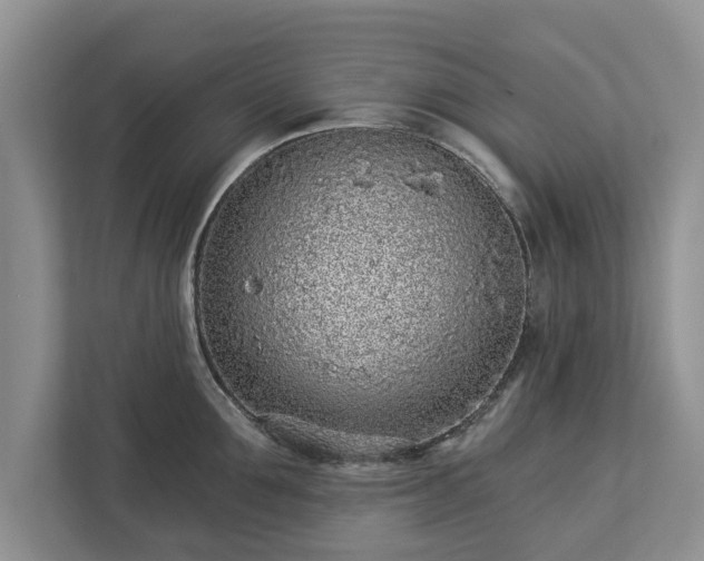 X0000113020907200909031229