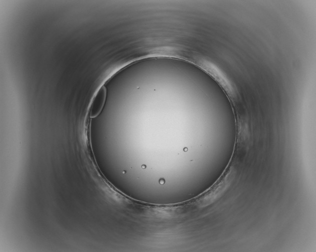 X0000113020908200909031229