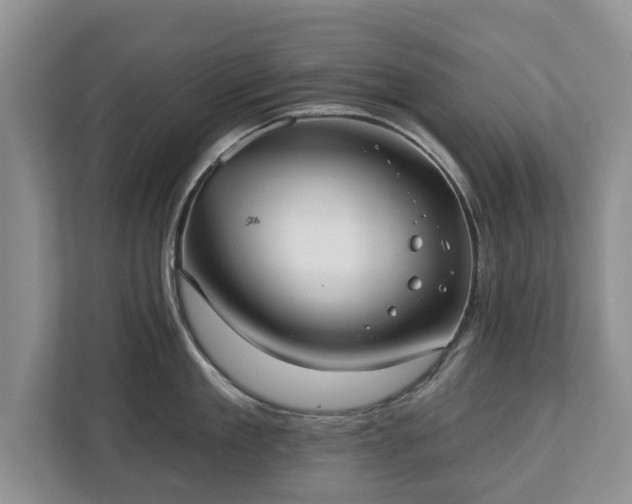 X0000113020909200909031229
