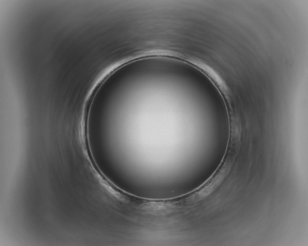 X0000113020910200909031229