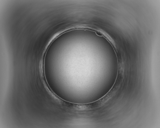 X0000113020911200909031229