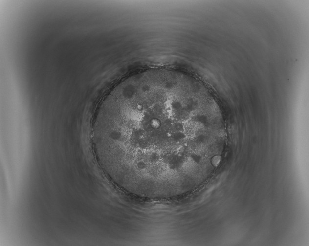 X0000113020913200909031228