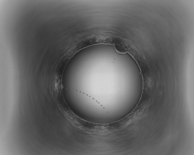 X0000113020914200909031228