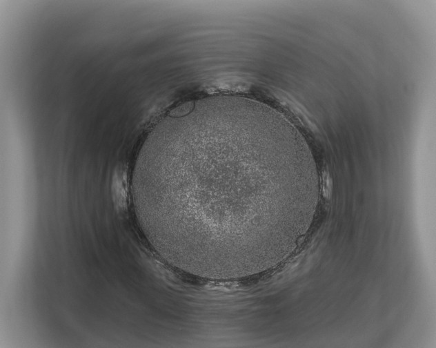 X0000113020915200909031228