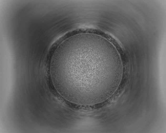 X0000113020919200909031228