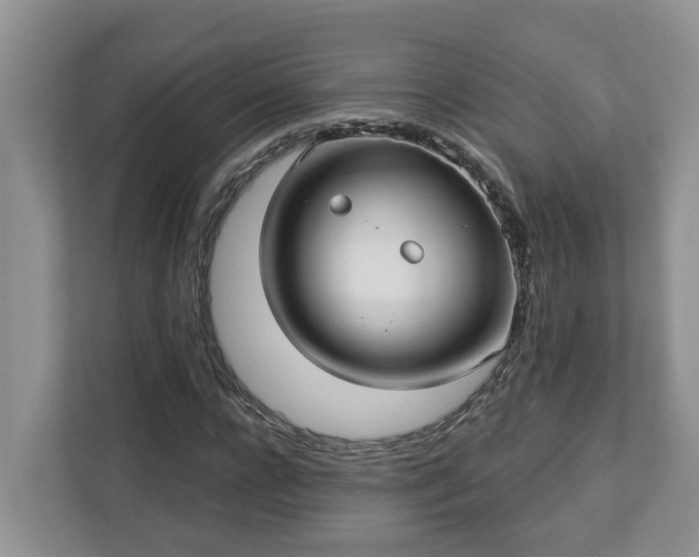 X0000113020920200909031228