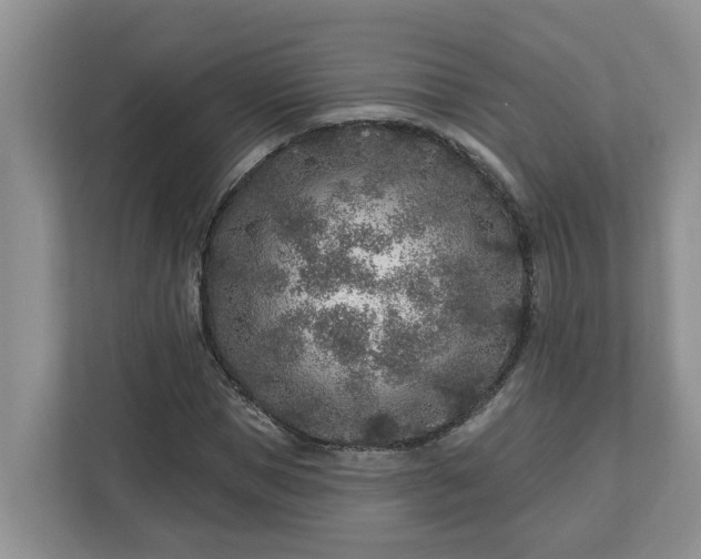 X0000113020921200909031228