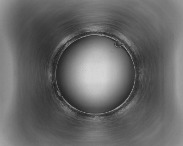 X0000113020922200909031228