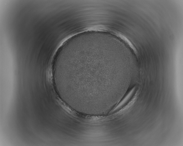 X0000113020923200909031228