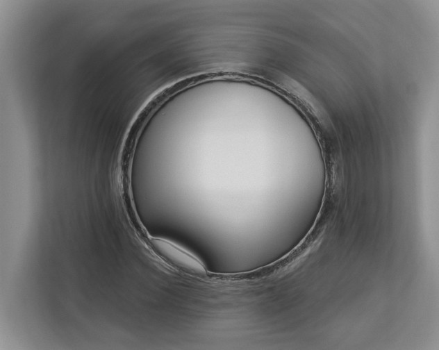 X0000113020924200909031228