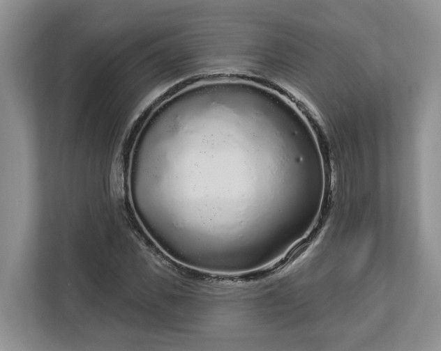 X0000113020925200909031228