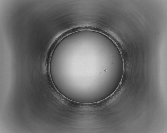 X0000113020927200909031228