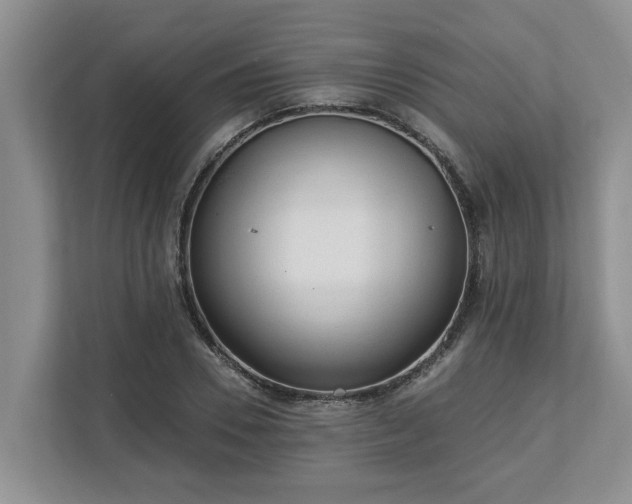 X0000113020930200909031228