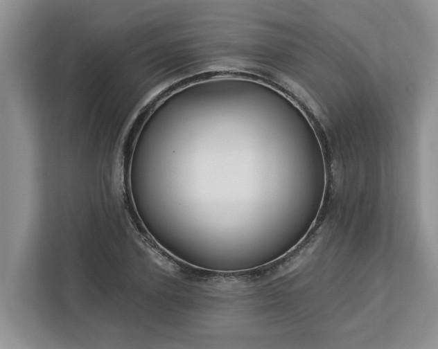 X0000113020931200909031228