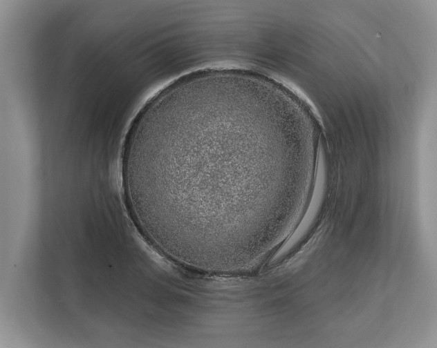 X0000113020935200909031228