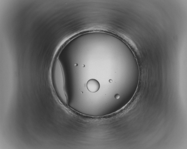 X0000113020936200909031228