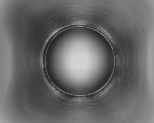 X0000113020939200909031228