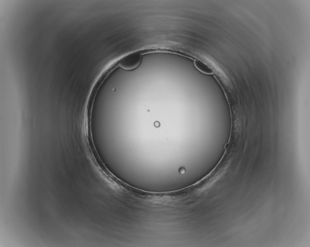 X0000113020940200909031228