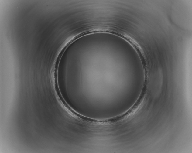 X0000113020941200909031228
