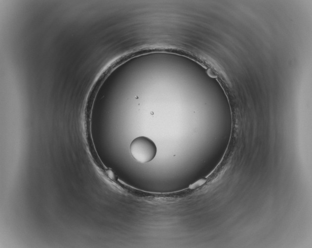 X0000113020942200909031228