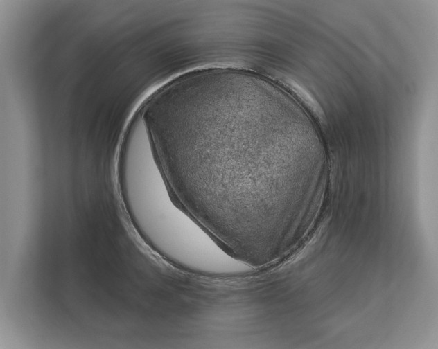 X0000113020944200909031228