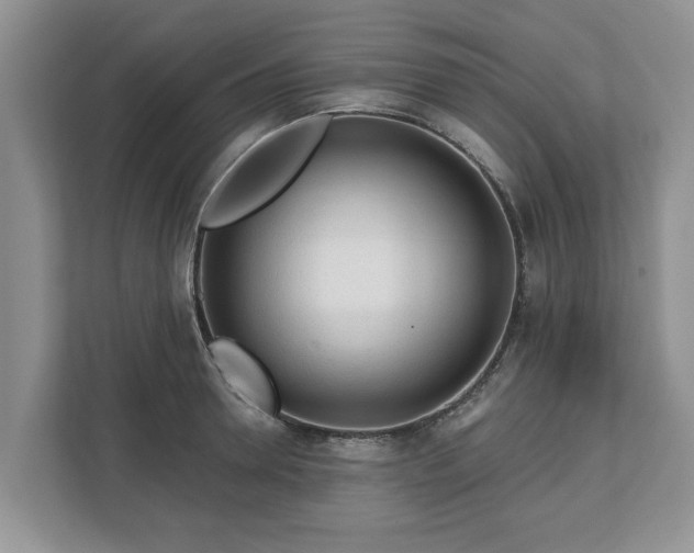 X0000113020946200909031228