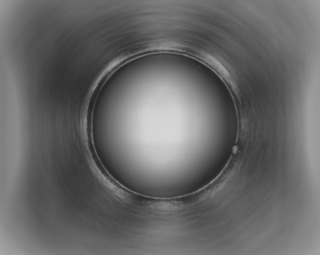 X0000113020947200909031228