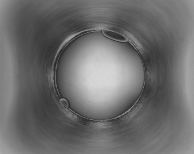 X0000113020948200909031228