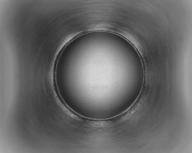 X0000113020949200909031229