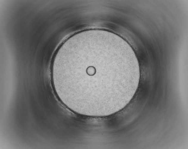 X0000113020950200909031229