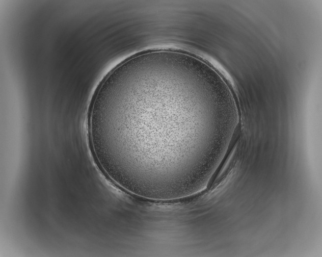 X0000113020951200909031229