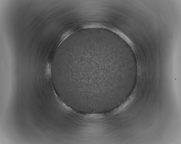 X0000113020953200909031229