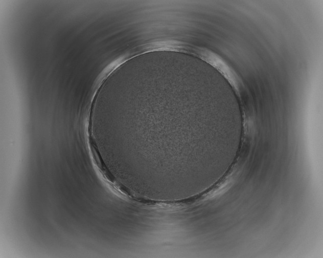 X0000113020954200909031229