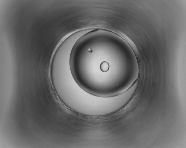 X0000113020956200909031229