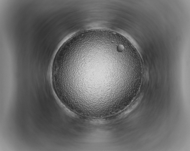 X0000113020957200909031229