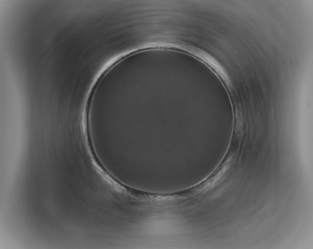 X0000113020958200909031229