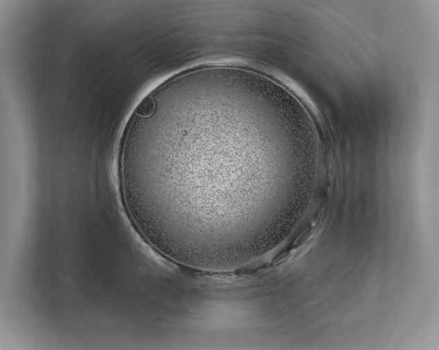 X0000113020959200909031229