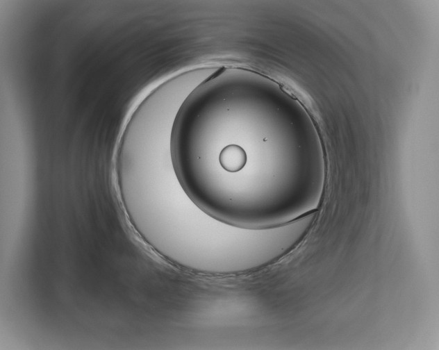 X0000113020960200909031229