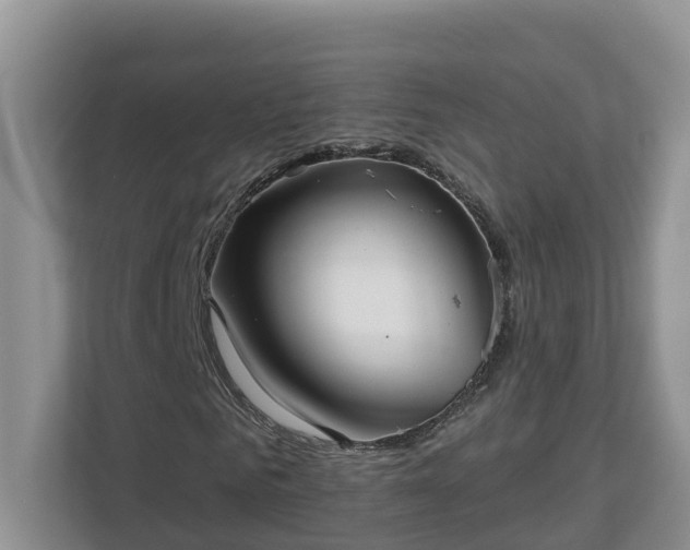 X0000113020961200909031228