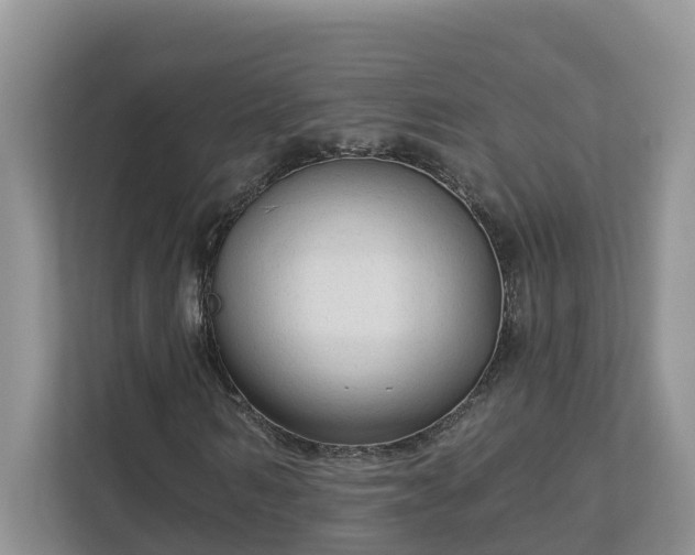 X0000113020962200909031228
