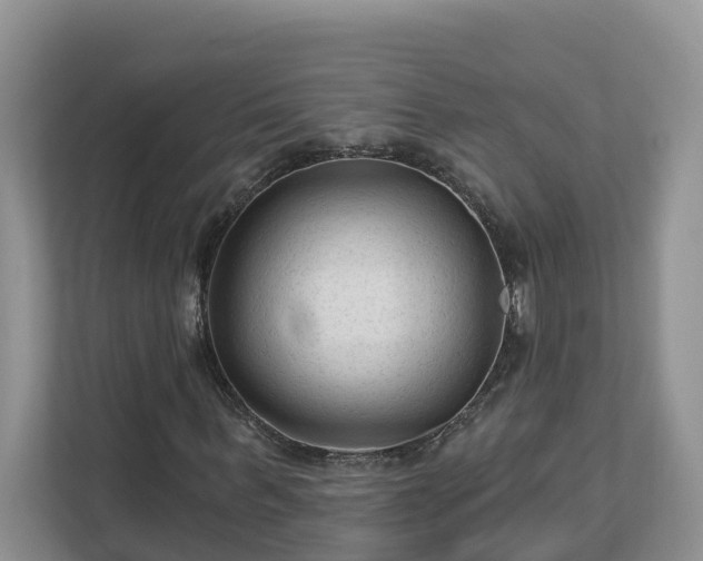 X0000113020963200909031228