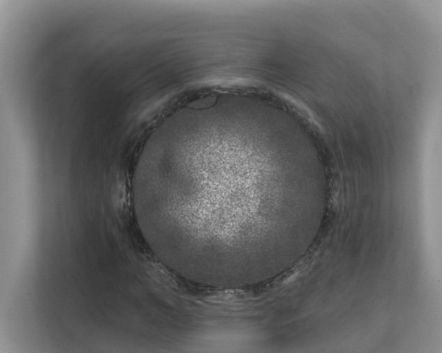 X0000113020966200909031228